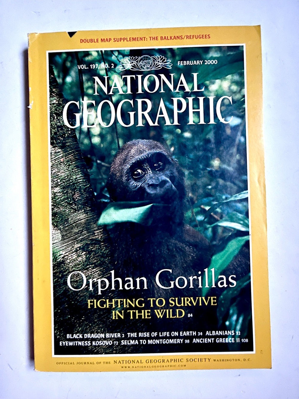 National Geographic Feb 2000 Orphan Gorillas, Black Dragon River & more